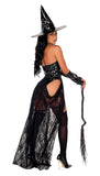 Bewitching Beauty Costume