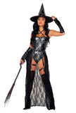 Bewitching Beauty Costume