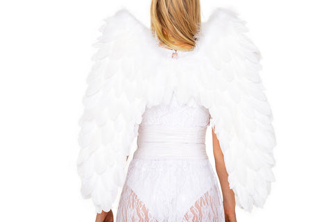 Delux Feathered Wings