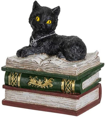 Black Cat on Books