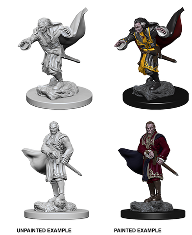 D&D: Nolzur's Marvelous Miniatures - Vampires