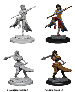 D&D: Nolzur's Marvelous Miniatures - Human Female Monk