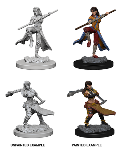 D&D: Nolzur's Marvelous Miniatures - Human Female Monk