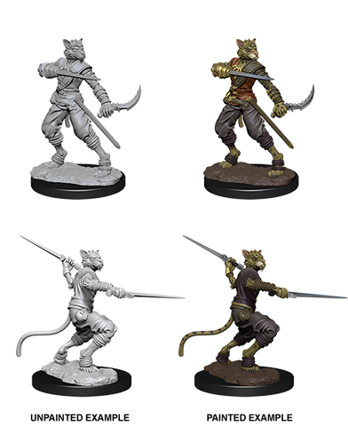 D&D: Nolzur's Marvelous Miniatures - Tabaxi Male Rogue