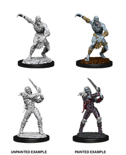 D&D: Nolzur's Marvelous Miniatures - Wight & Ghast