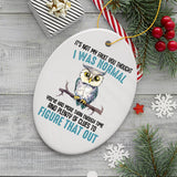 You Thought I was Normal Quirky Owl Ornament, Cute and Funny Christmas Gift