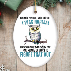 You Thought I was Normal Quirky Owl Ornament, Cute and Funny Christmas Gift