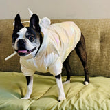 Anniepaw Waterproof Warm Winter Snowsuit Unicorn Jacket for Dogs