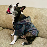 Anniepaw Fashion Flashing Dog Hoodie: Reflective Jacket Clothing for Small to Large Pets