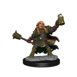 D&D: Frameworks - Dwarf Cleric Female