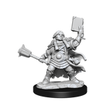 D&D: Frameworks - Dwarf Cleric Female