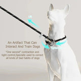 Anniepaw LumiLeash Pro: Reflective Anti-Burst Dog Leash