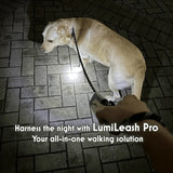 Anniepaw LumiLeash Pro: Reflective Anti-Burst Dog Leash