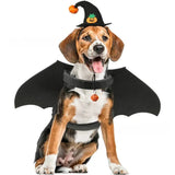 Anniepaw Dog Cat Halloween Witch Hat Pumpkin Smile Costume Photo Prop Party Headwear