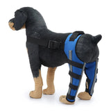 AnniePaw Dog Leg Recovery Braces Support Quality Care Canine Health