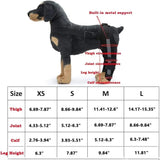 AnniePaw Dog Leg Recovery Braces Support Quality Care Canine Health