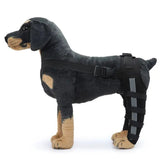 AnniePaw Dog Leg Recovery Braces Support Quality Care Canine Health