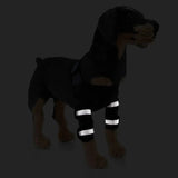 AnniePaw Dog Leg Recovery Braces Support Quality Care Canine Health