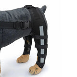 AnniePaw Dog Leg Recovery Braces Support Quality Care Canine Health