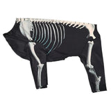 Anniepaw Dog Skeleton Costume Costumes Halloween Dress up