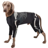 Anniepaw Dog Skeleton Costume Costumes Halloween Dress up