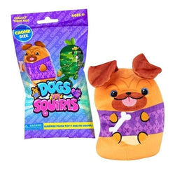 Dogs vs Squirls Chonks 6 Inch Plush Mystery Bag