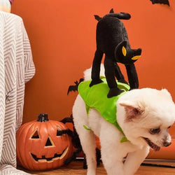 Anniepaw Halloween Black Cat Pet Costume: Funny Dress Up for Small to Medium Dogs and Cats for Holidays