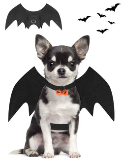 Anniepaw Halloween Cat Bat Wings Outfit: Funny Dog Cosplay Costume with Pumpkin Bells