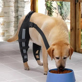 AnniePaw Comfort Care Leg Brace for Dogs - Joint Support & Mobility Aid