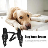 AnniePaw Comfort Care Leg Brace for Dogs - Joint Support & Mobility Aid