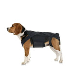 AnniePaw HealPro Dogs Comfort-Back Brace: Quality IVDD Support