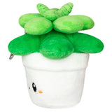 Squishable Succulent (Micro)