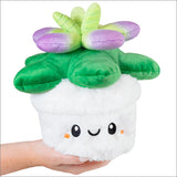 Squishable Succulent (Mini)