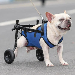 AnniePaw Dog Wheelchair for Hind Legs - Mobility Support for Small & Medium Dogs