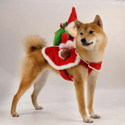 Anniepaw Santa Claus Riding Dog Costume: Christmas & Halloween Pet Outfit