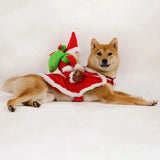 Anniepaw Santa Claus Riding Dog Costume: Christmas & Halloween Pet Outfit