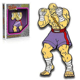 Street Fighter Augmented Reality Enamel Pin - Choose your Pin