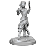 D&D: Nolzur's Marvelous Miniatures - Shifter Fighter