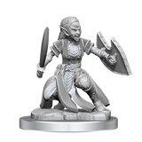 D&D: Nolzur's Marvelous Miniatures - Shifter Fighter