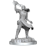 D&D: Nolzur's Marvelous Miniatures - Aasimar Cleric Female