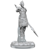 D&D: Nolzur's Marvelous Miniatures - Sea Elf Fighters