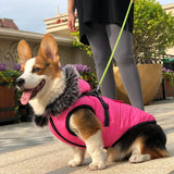 Anniepaw Winter Pet Dog Jacket with Harness Warm Dog Clothes for Small Medium Dogs Coats