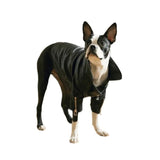 Anniepaw Zip-Leg Leather Handmade Jackets for Dogs Cats