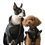 Anniepaw Zip-Leg Leather Handmade Jackets for Dogs Cats